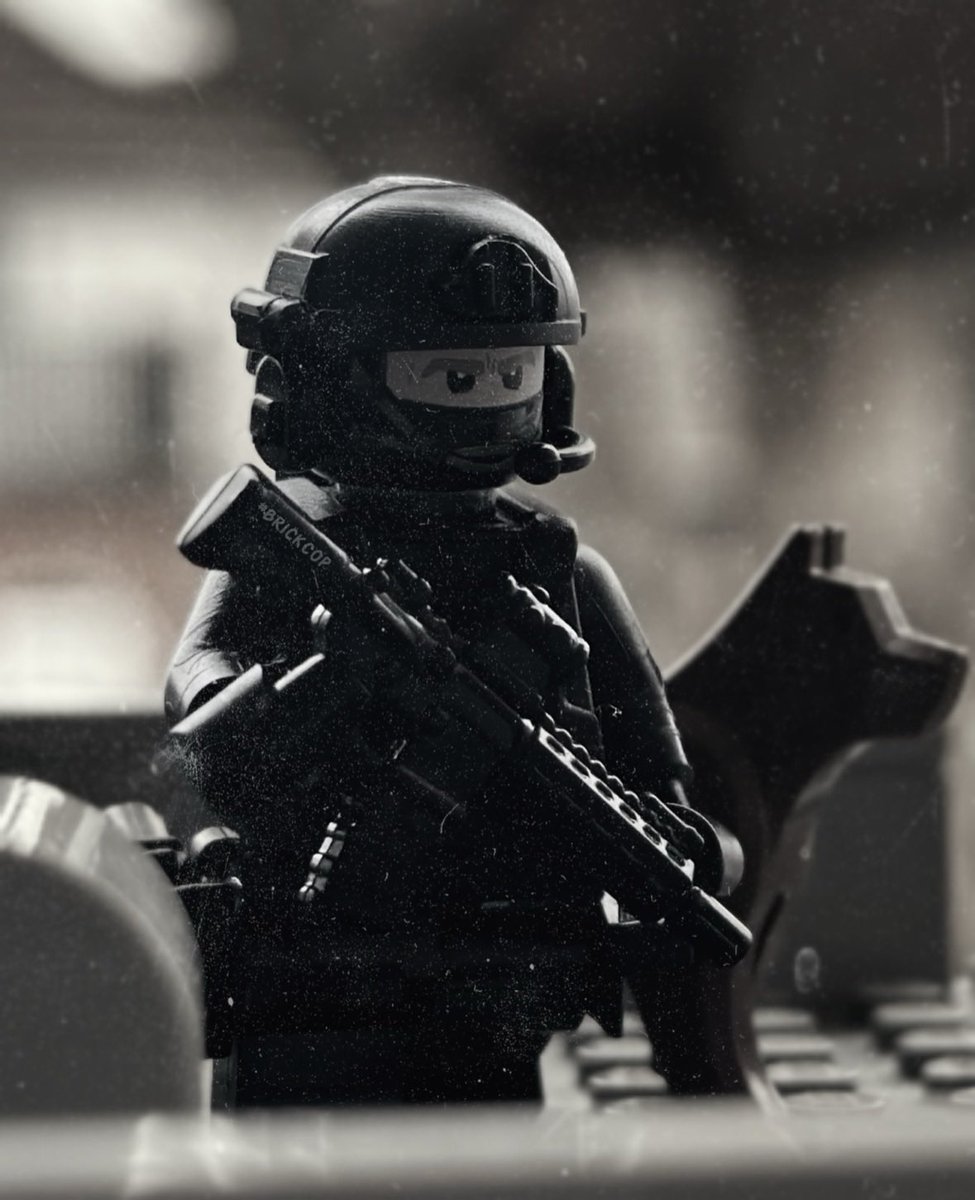 Brick Cop©️ tweet media