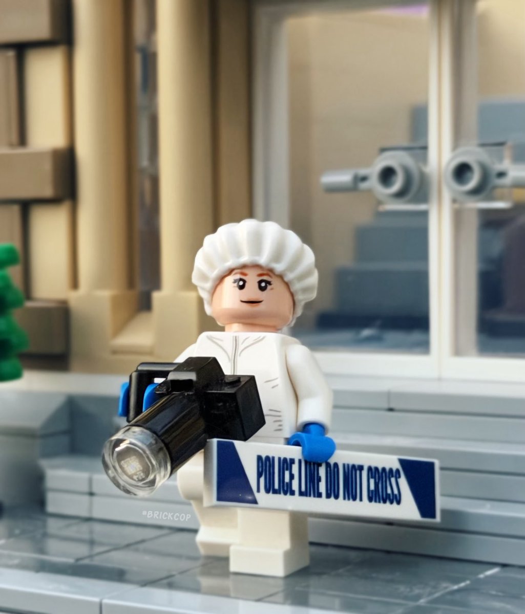 Brick Cop©️ tweet media