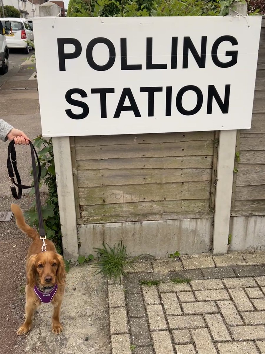 Time to vote #dogsatpollingstations