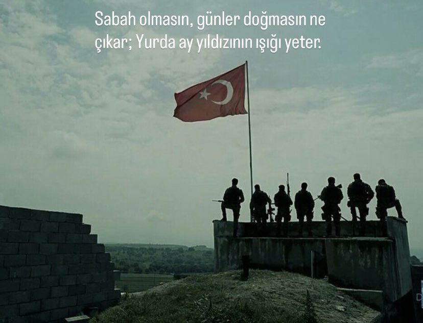 SevgiG. tweet media