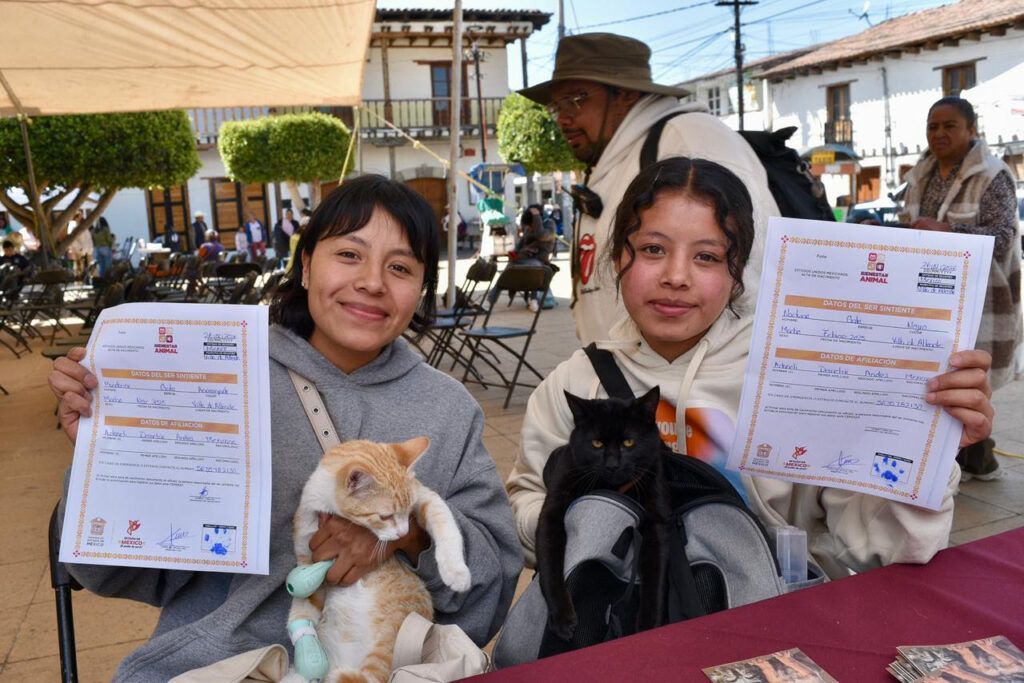 Noti_Acambay's tweet photo. Updated Post: ¿Tienes mascota? En Edomex será obligatorio registrarla con nueva ley https://t.co/6wLBW8Ffaj https://t.co/UyvtmQEEMs