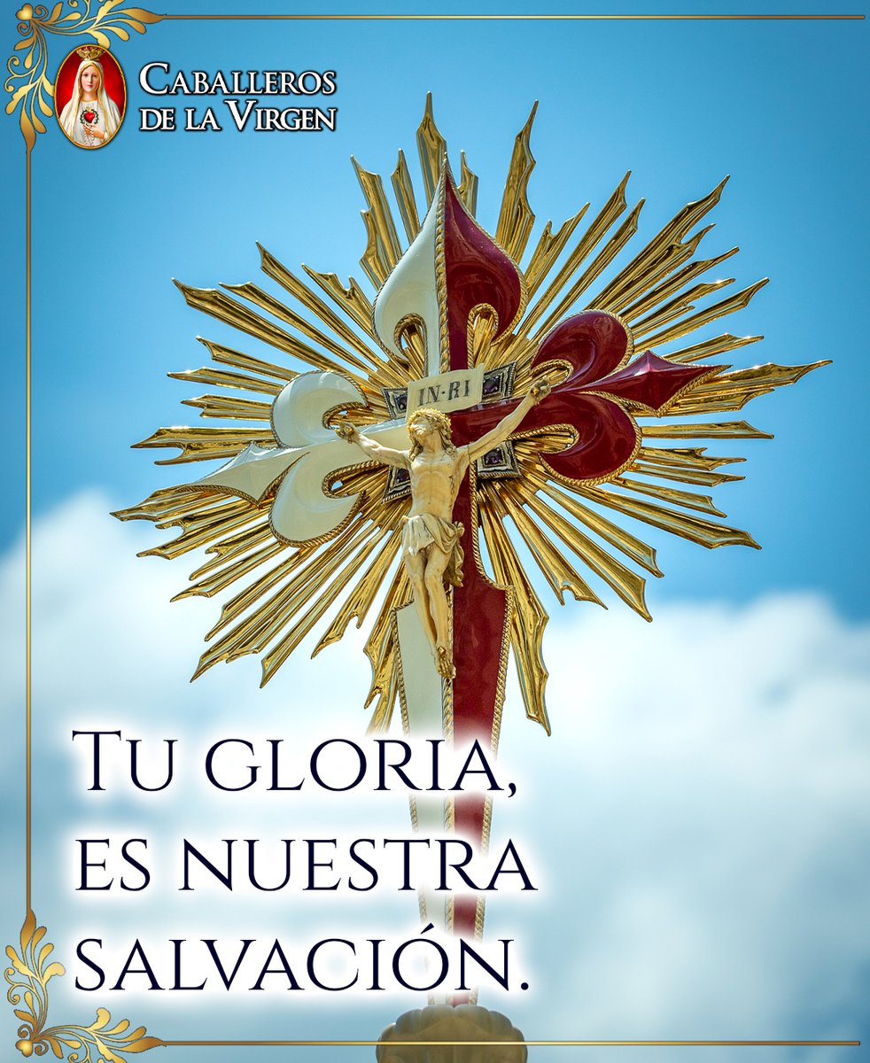 Caballeros de la Virgen tweet media