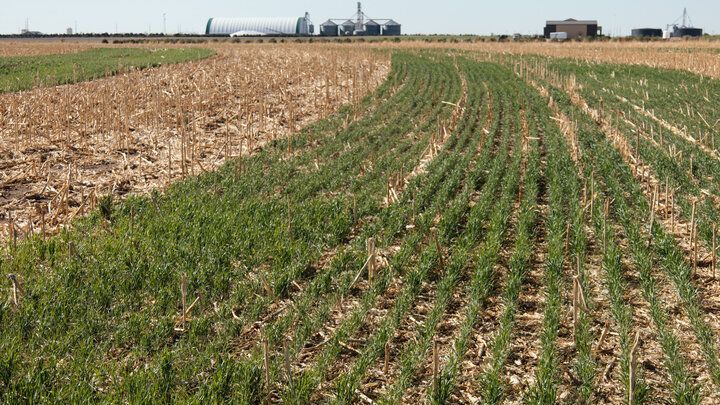 West Central Research and Extension Center tweet media