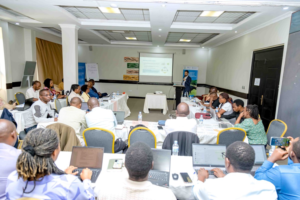 FAO in Rwanda tweet media