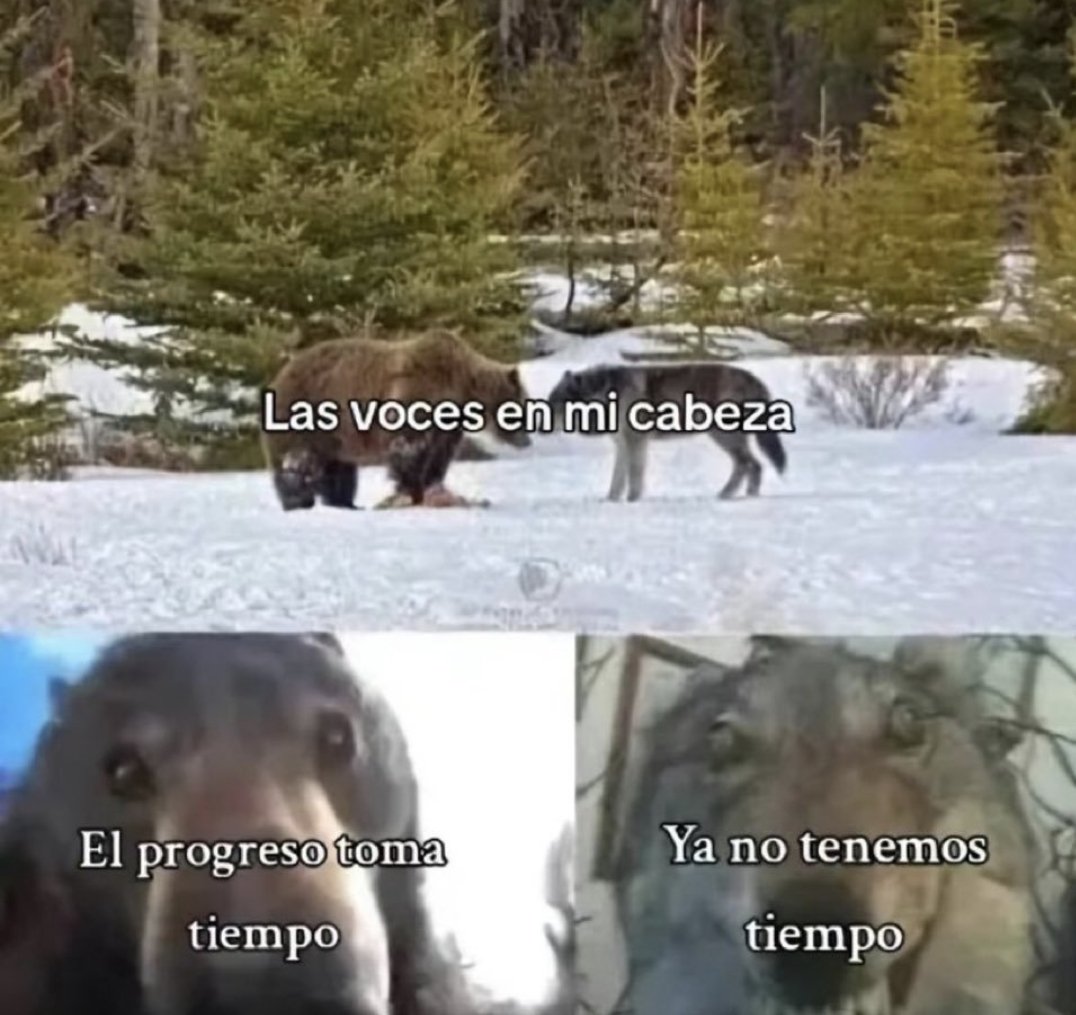 navarro✯ (@nvvarroo) on Twitter photo 