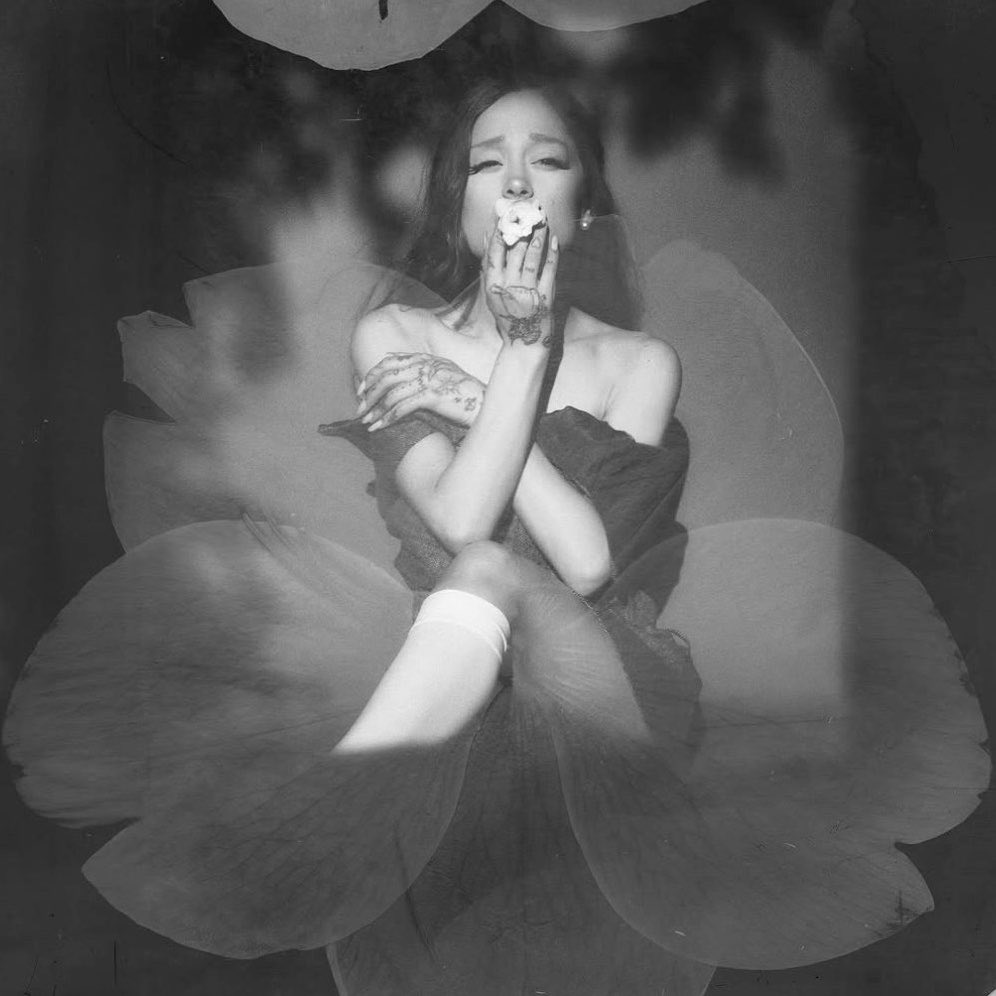 Ariana Grande Brasil tweet media