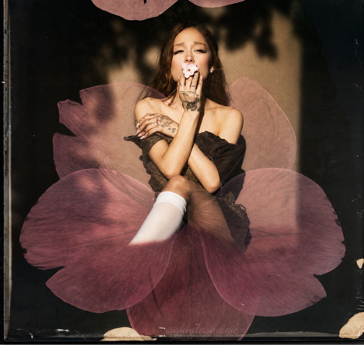 Info Ariana tweet media