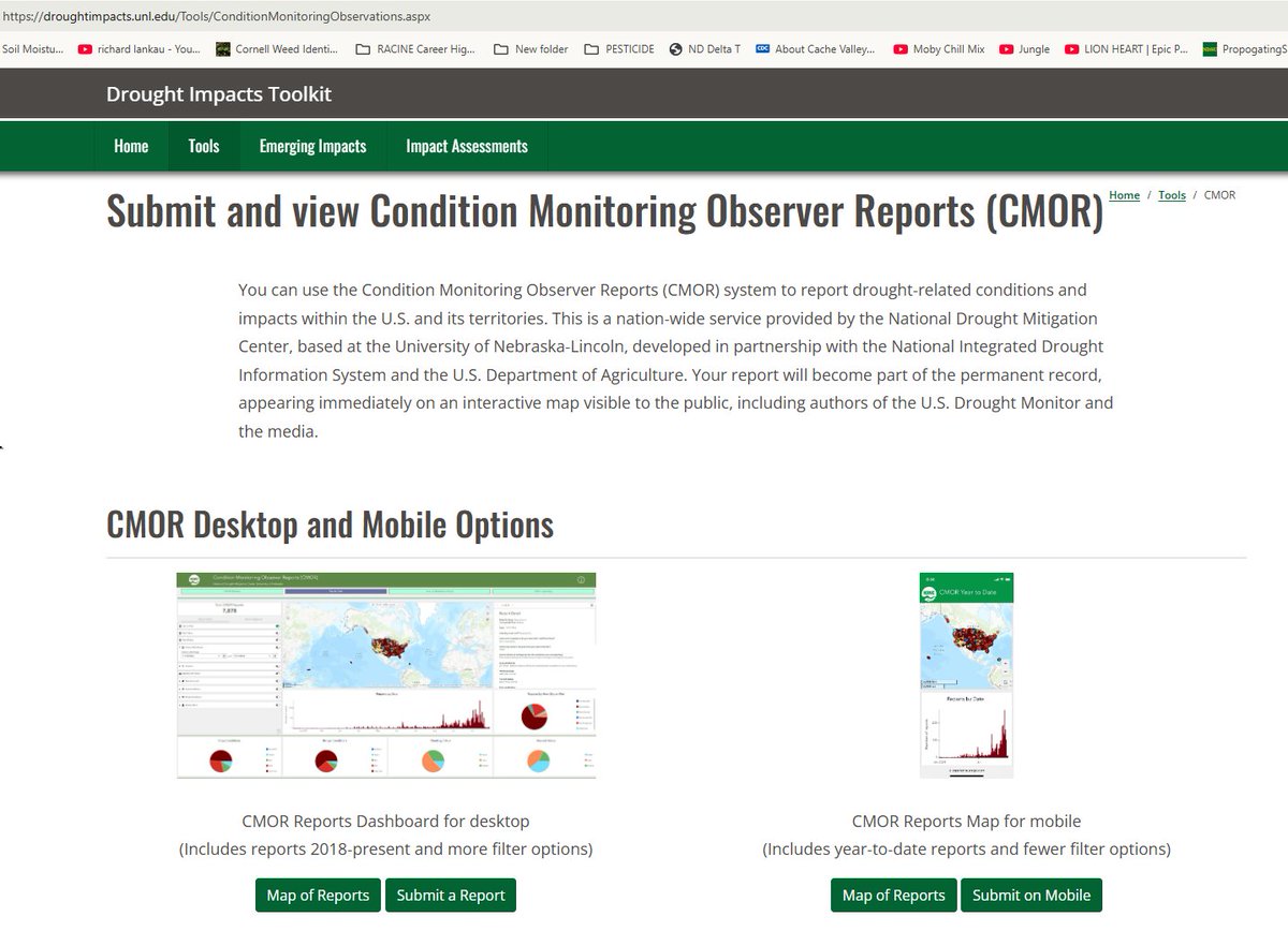 CountyAgAgent's tweet photo. May’s weather continues to suggest dry conditions for pastures and crops. CMOR (Condition Monitoring Observer Reports) helps track those conditions. Public input is essential. Please contact me if you have any questions completing this online report. https://t.co/dIbp6dm0Hk
