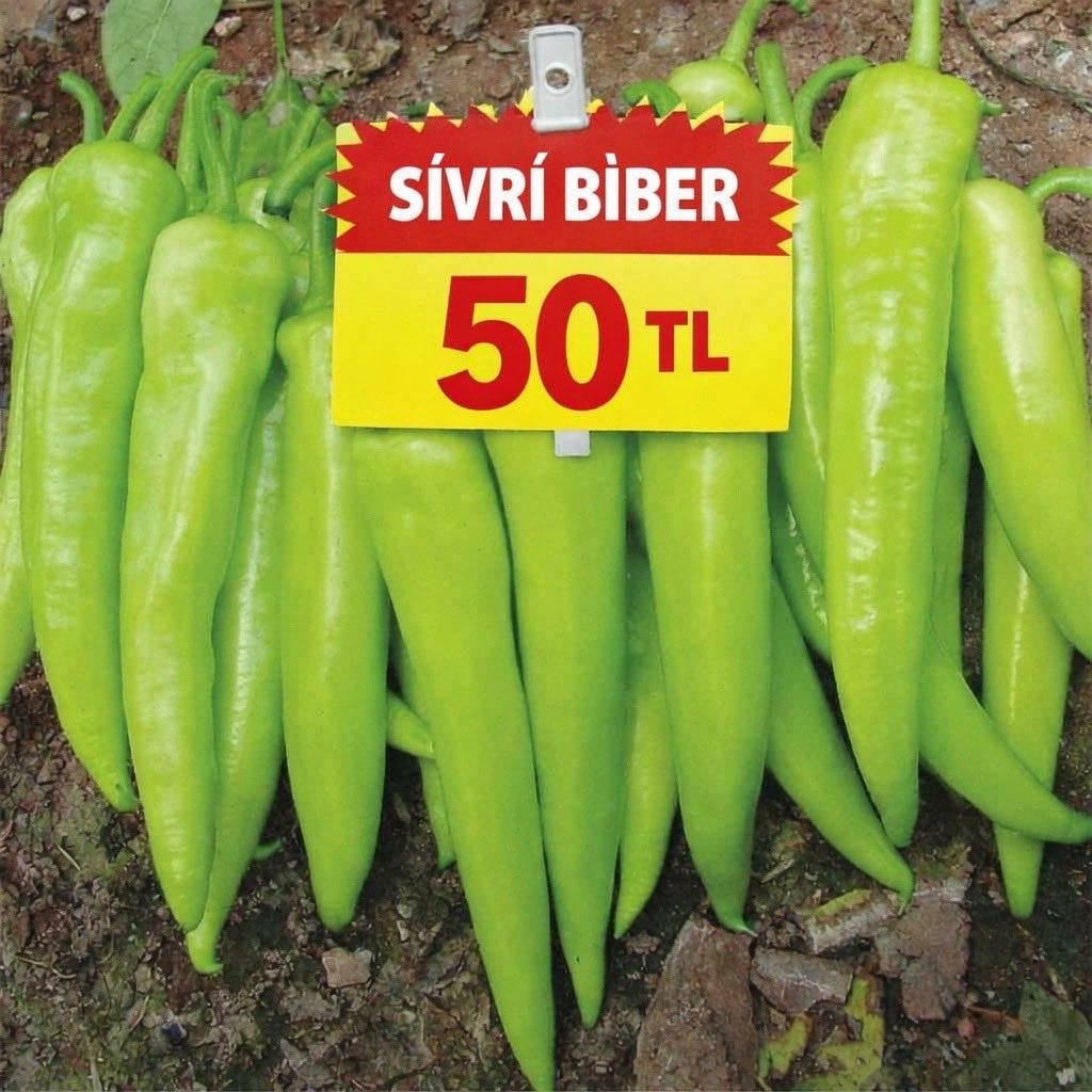 Haberinolsun630's tweet photo. Şanlıurfa’da Biber fiyatlarında düşüş görülmeye başladı. Geçtiğimiz günlerde Pazarlarda 250TL’ye satılan biber,

Bugünlerde Acı Biberin kilosu Pazar ve tezgahlarda 50TL’ye satılmaya başlandı.
#Acıbiber
#Urfa https://t.co/MVNFrBqISV