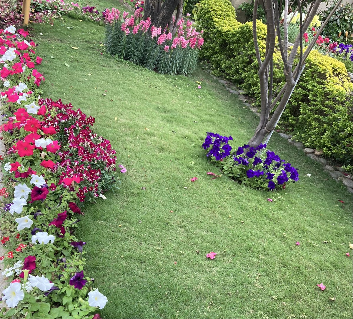 ajafri5's tweet photo. https://t.co/e8YxWcU56O
