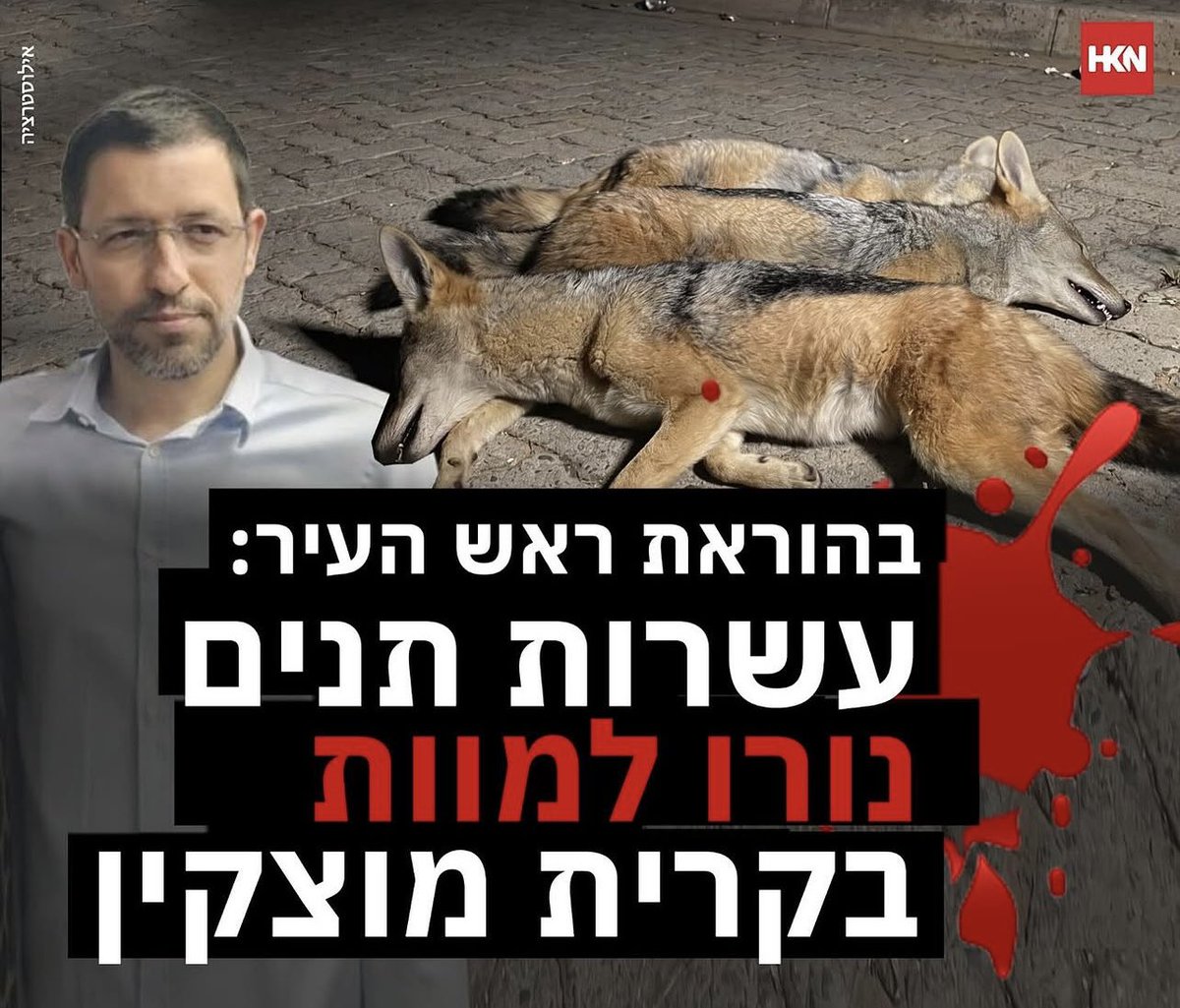 יסמין סאקס פרידמן tweet media