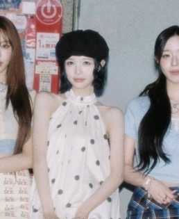 딸기 농장 tweet media