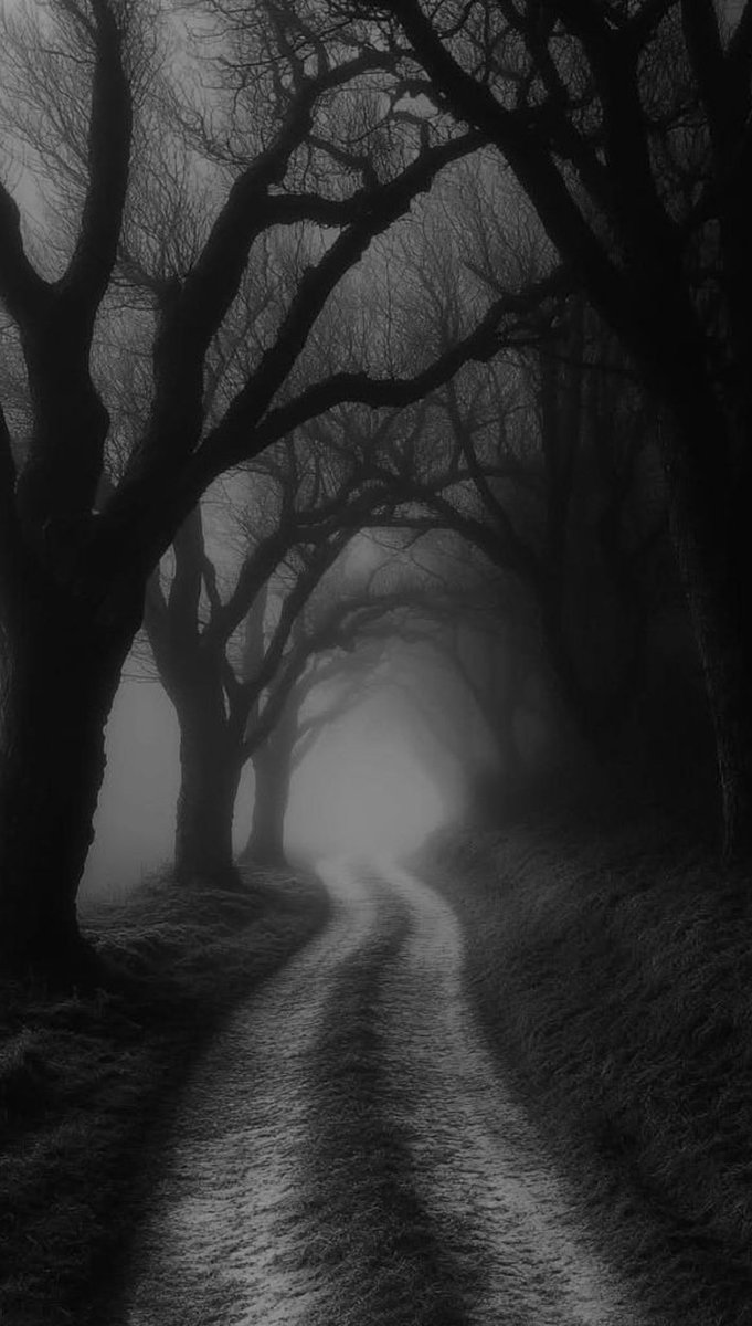 NIN75_'s tweet photo. The path.......... https://t.co/f82bD7l7cA