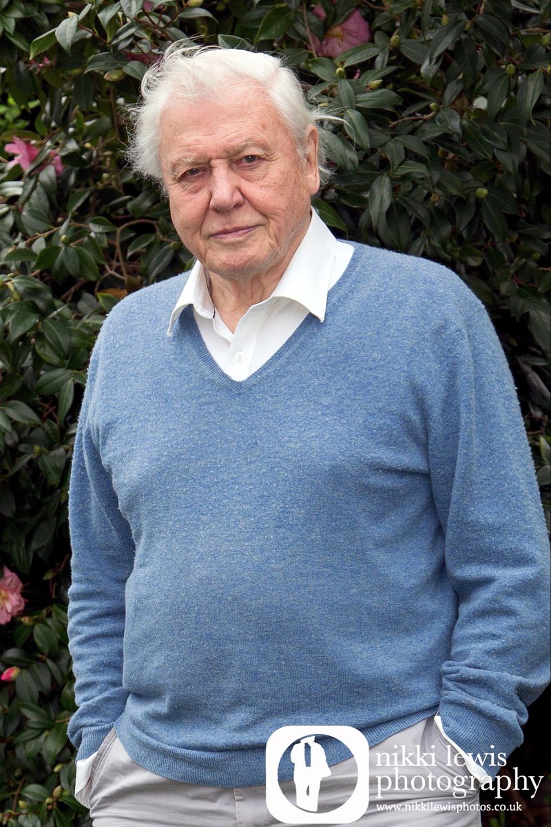 nikkilewisphoto's tweet photo. @GBNEWS for Nana Akua. David Attenborough will always be a legend and an icon to me. I was honoured to photograph him in his home for a magazine cover for his 90th birthday. It was the front cover of Mays magazine 10 years ago. What an amazing man. https://t.co/omUfgxpfbC