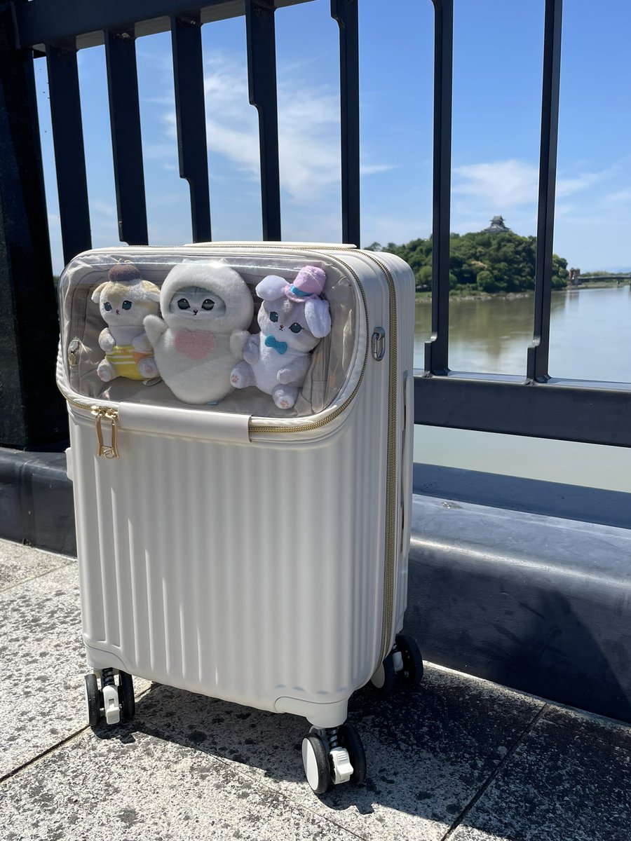 lenahc1's tweet photo. 【公式】株式会社 siffler[シフレ/ハピタス] @hapi_tas さまのカプセルキャリーケースで、旅行してきました🐈✨

推しと一緒に旅行できるキャリーケース♡
今回は大好きなmofusandと一緒❤️
姪っ子が気に入って『これどこのキャリーケース？』と聞いてきてくれました🤭✨
旅行がさらに楽しくなりました🌈
次はどの子と旅行しようかな🎵
#シフレで推し活