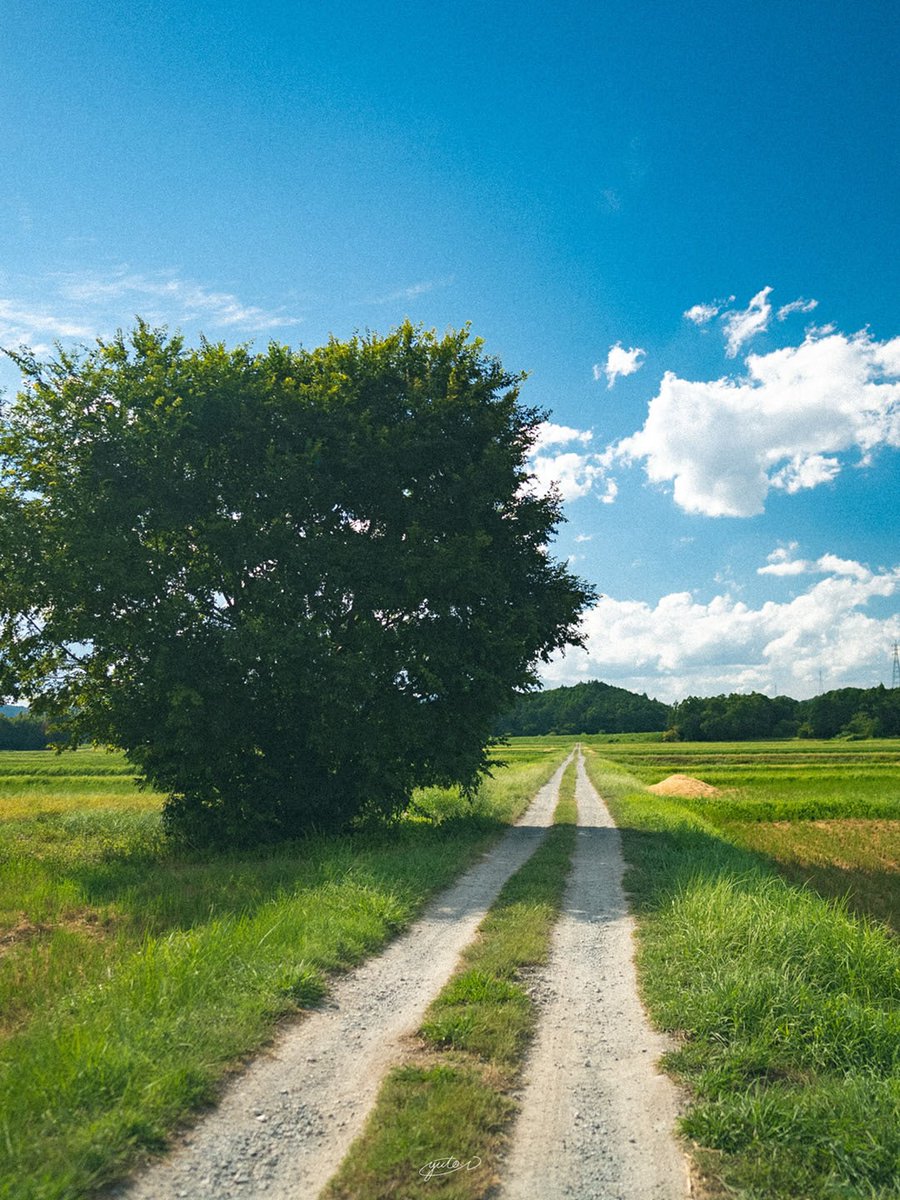 Nature🍃 tweet media