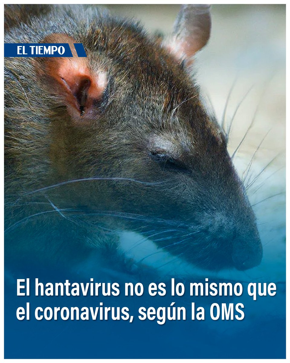 EL TIEMPO tweet media