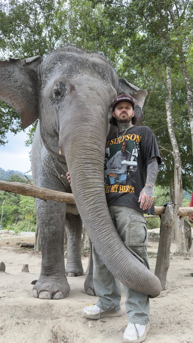 Pleasexdie's tweet photo. I’ll never forget this trip around south east Asia https://t.co/aXEmMfJDAh