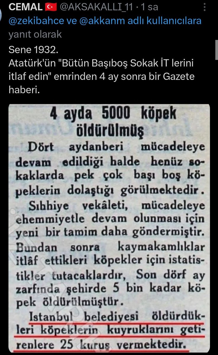 abdullatif kocabuğa🇹🇷 tweet media
