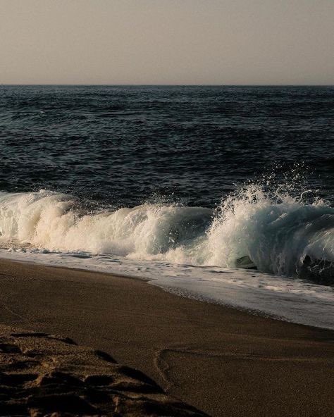 ocean 🌊 tweet media