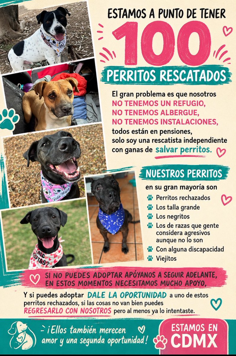 𝙷𝚎𝚕𝚊 𝙼𝚘𝚛𝚎 🐶 tweet media