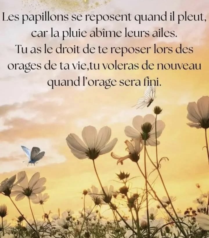 Sagesse Pure tweet media