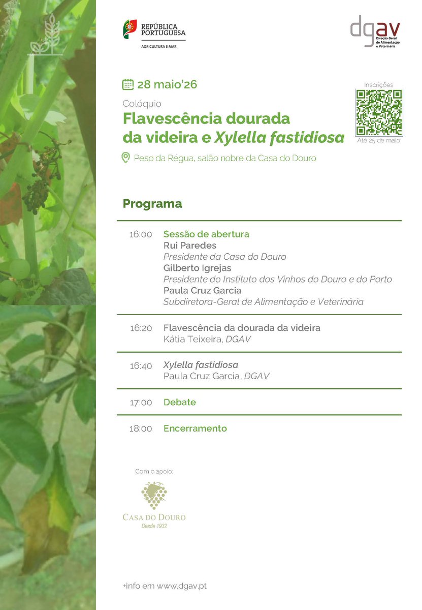 DGAVpt's tweet photo. Colóquio Flavescência dourada da videira e Xylella fastidiosa
A DGAV organiza, com a colaboração da Casa do Douro, um colóquio dedicado à problemática da Flavescência dourada da videira e Xylella fastidiosa, no dia 28 de maio em Peso da Régua.

As inscrições são gratuitas. https://t.co/1x4rTcVKXO