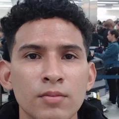 Homeland Security tweet media