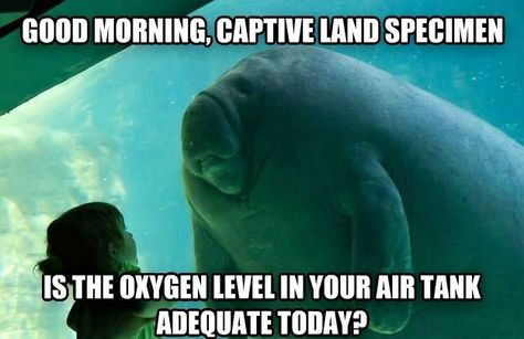 Fantastic Aquariums (@fantasticaqua) on Twitter photo 