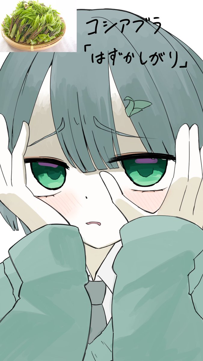コシアブラ
#365日植物キャラデザ