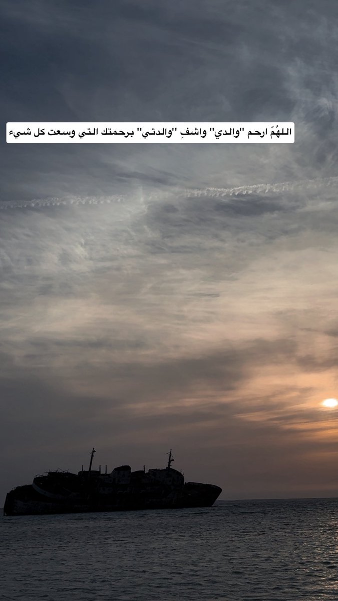 عـلـوش 𝕏 tweet media