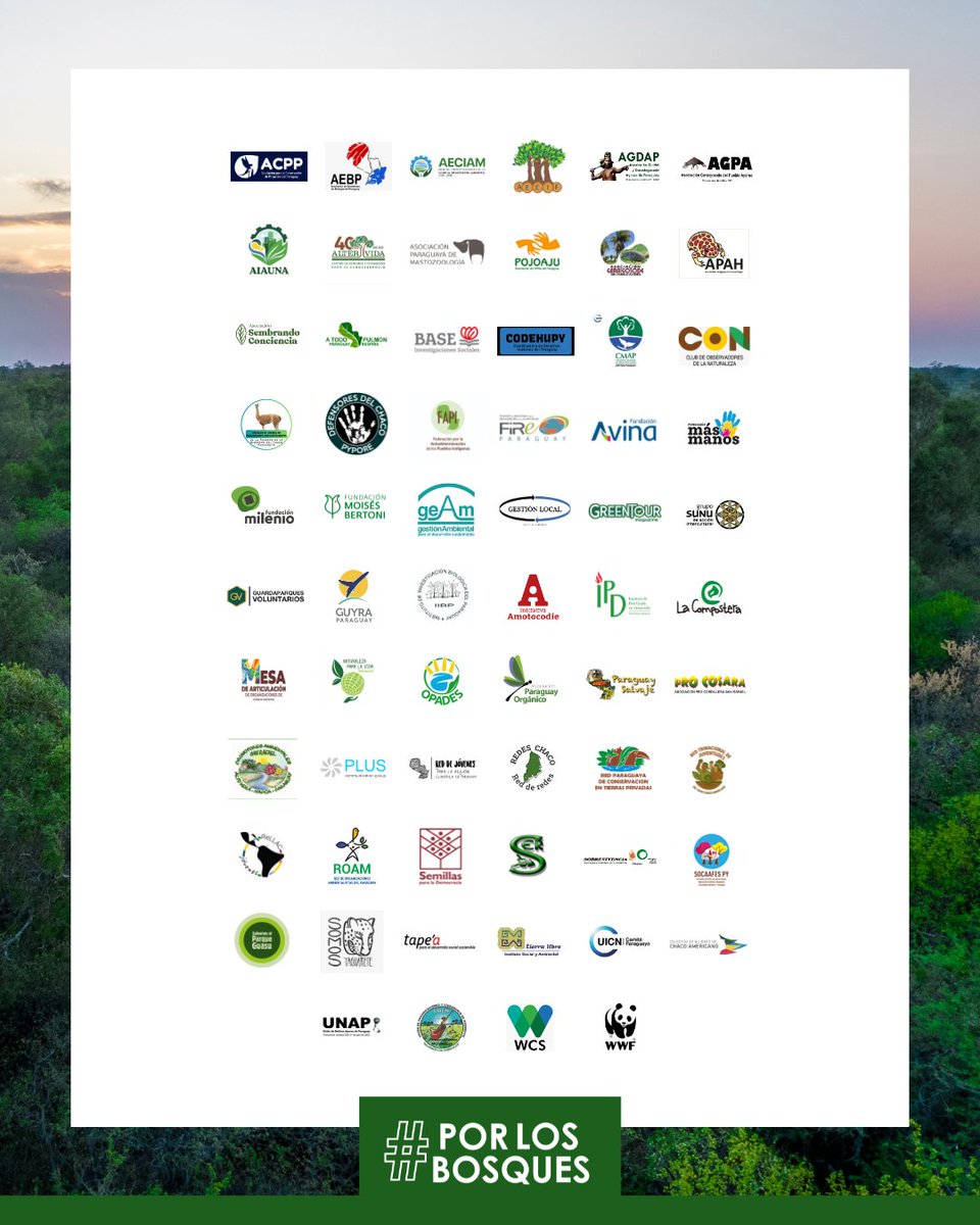 📣 Comunicado de la coalición #PorLosBosques
#LosMédanosNoSeTocan