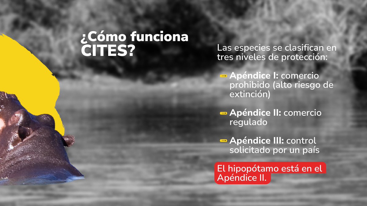 MinAmbiente Colombia tweet media