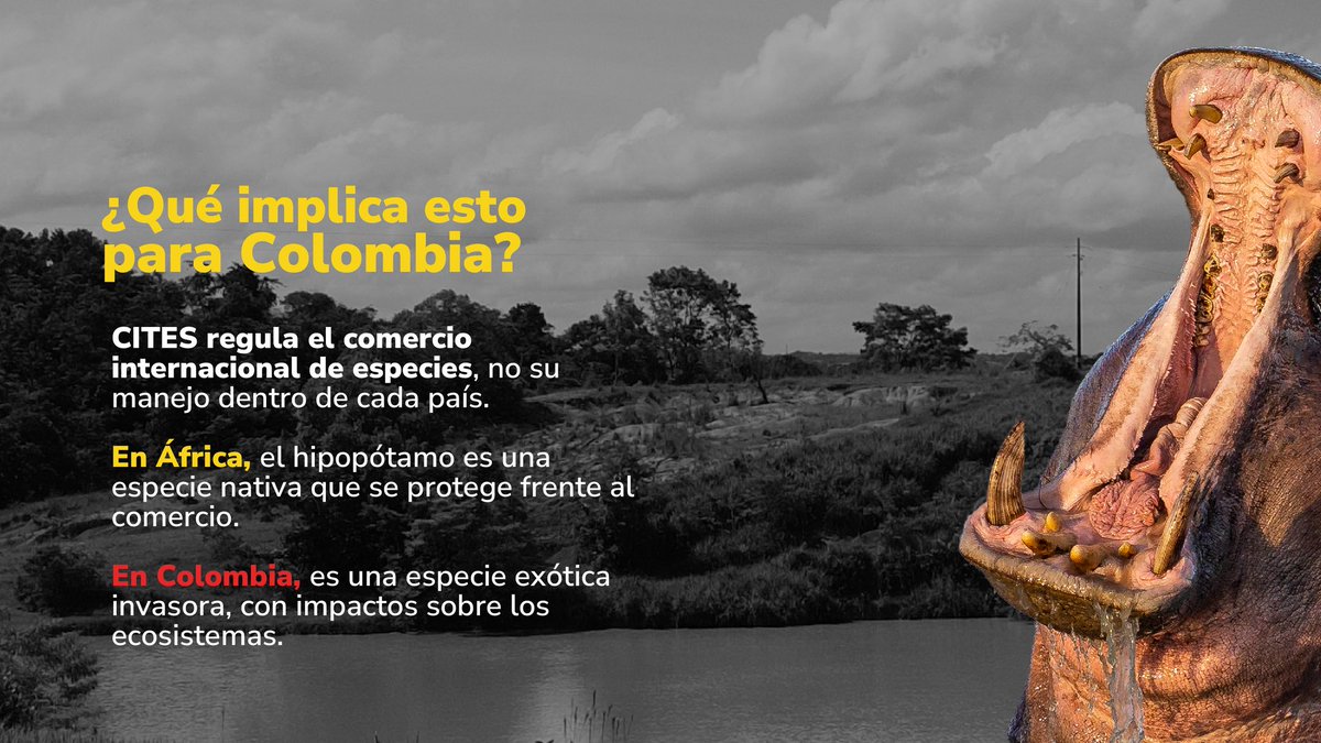 MinAmbiente Colombia tweet media