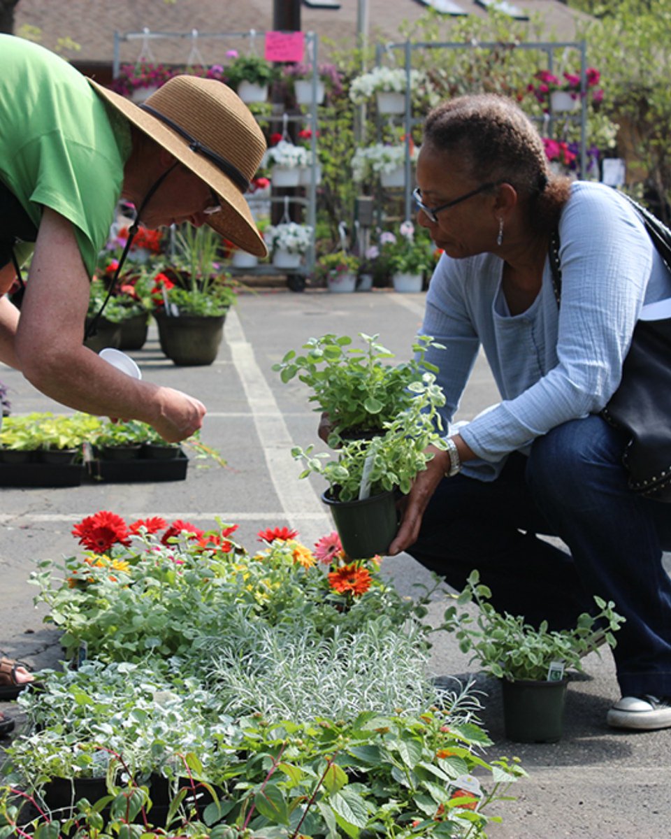 ShakerLakes's tweet photo. 44th ANNUAL PLANT SALE | SATURDAY, MAY 9 | 10AM-3PM
Shop in person at the Nature Center for the best selection of hard-to-find native perennials, annuals, herbs, vegetables, and hanging baskets hand-selected by a local team of experienced gardeners. https://t.co/XhOZ8pB5HK