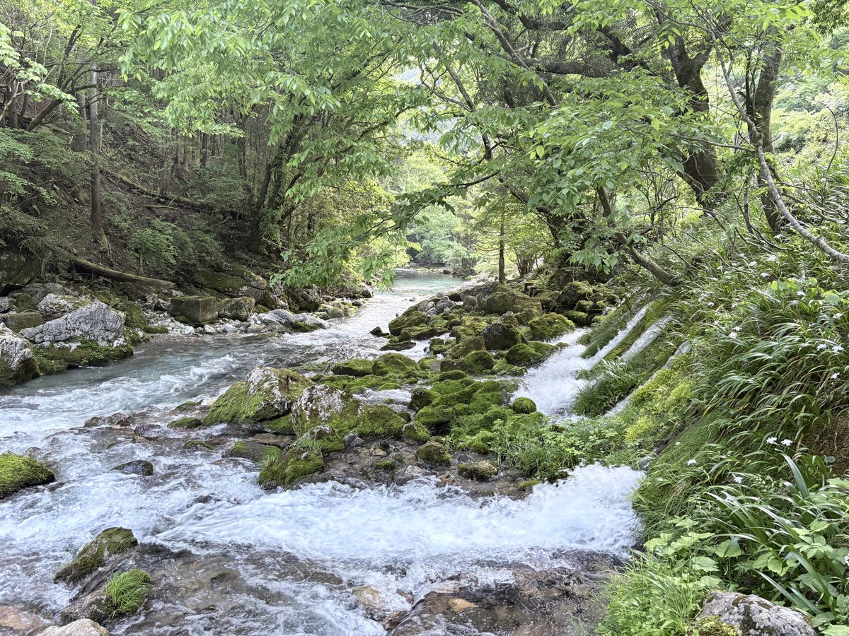 枯れ木にいのちの水流れて ここで水を汲んだよ