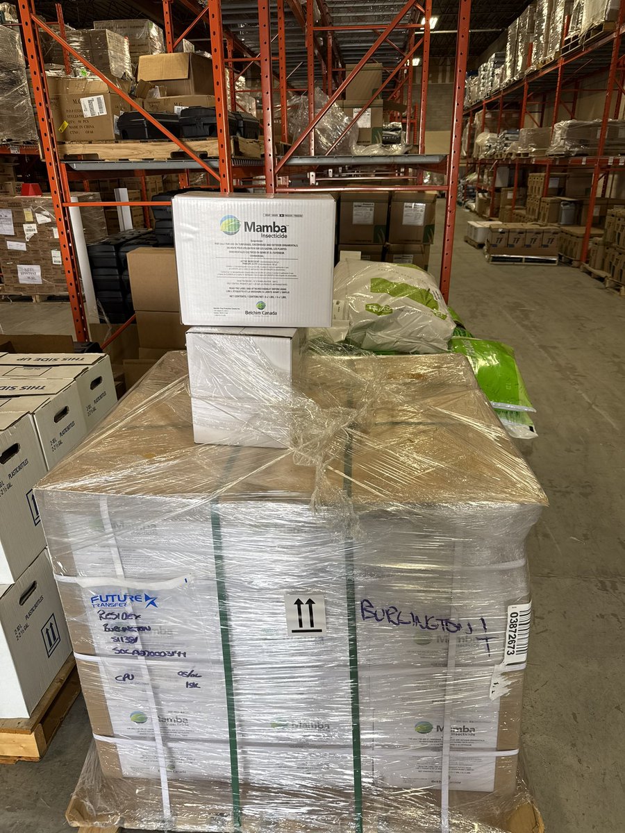 Mamba has arrived and is in stock!
