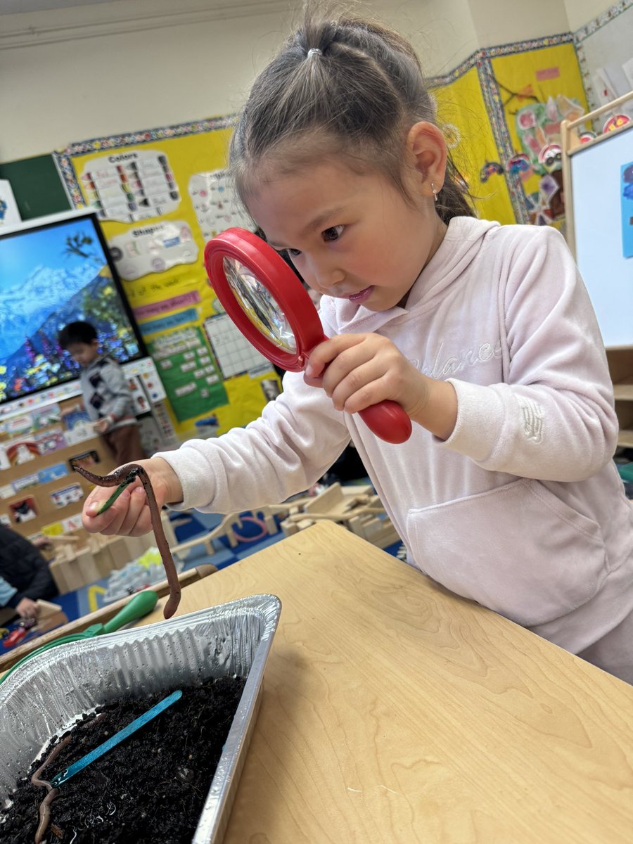 P.S. 53R tweet media