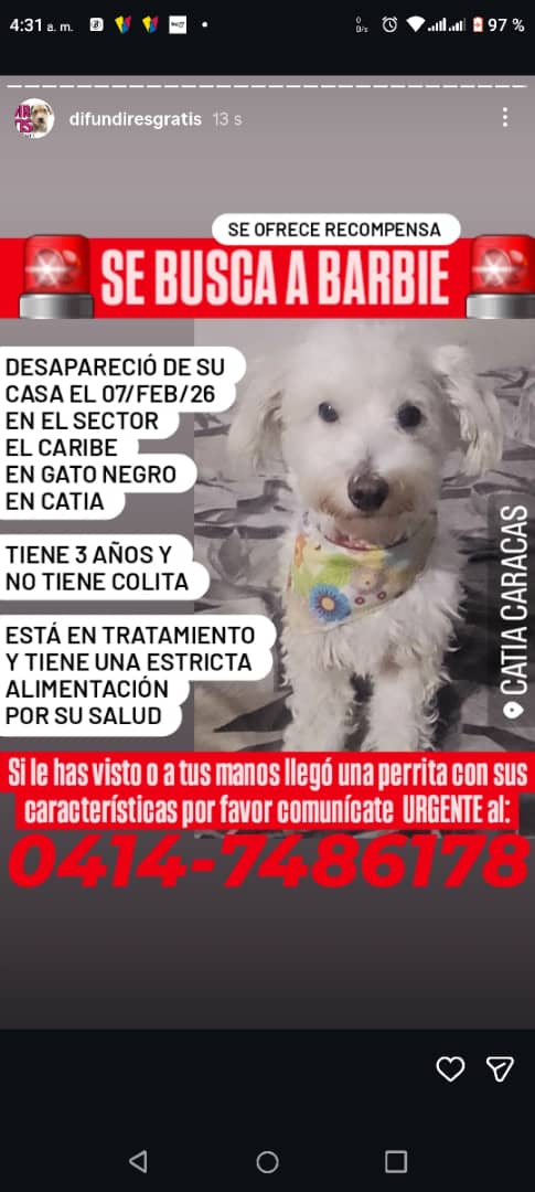 SOS Fauna Mérida tweet media