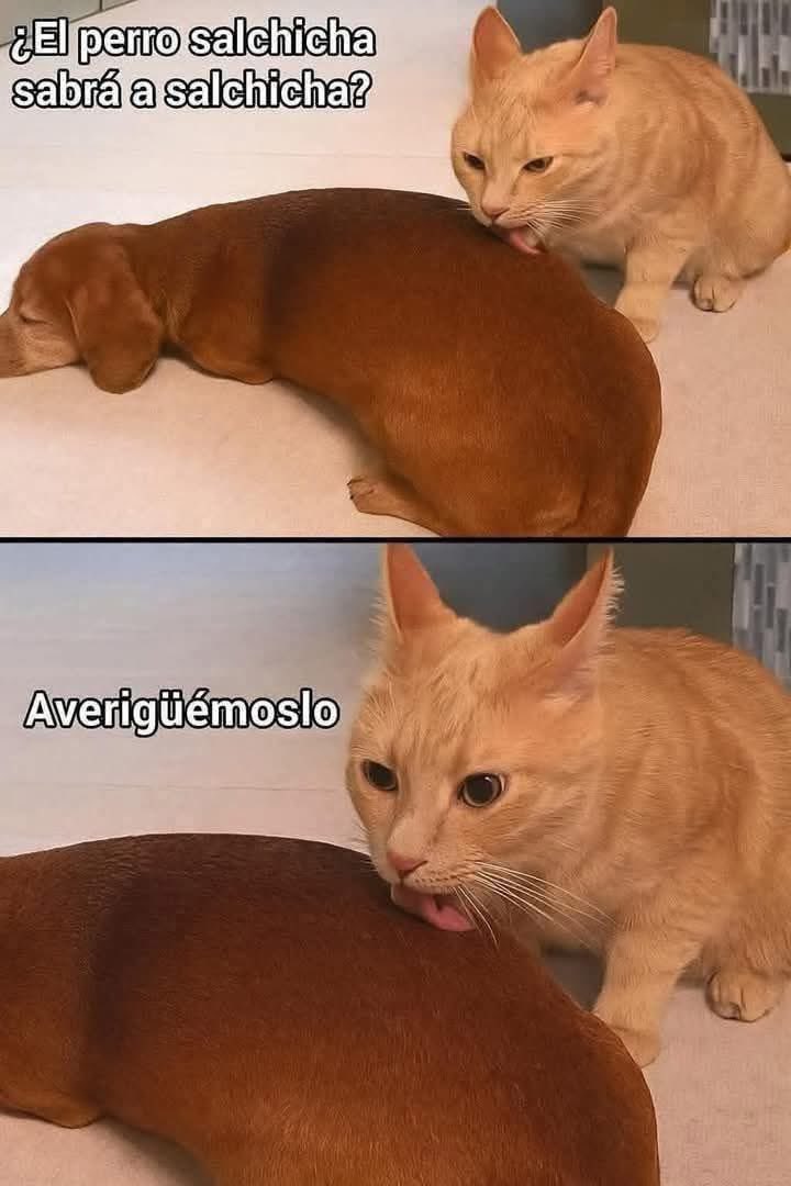 🥸
