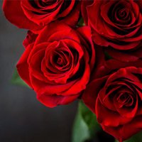 JHT_fh's tweet photo. Rosanne White Jett, 70, of Looneyville, WV, passed away on May 5, 2026, after a short illness.

She was born March 14, 1956, at Charleston, the daughter of the late J.W. (Bus) and Vada Keaton White.

Details at https://t.co/XgRhtswcpk https://t.co/Jc7A9gBWhg