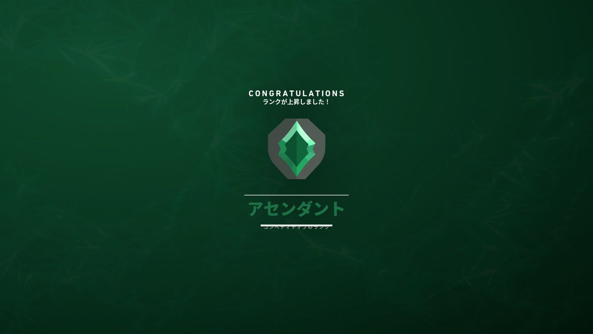 もどった🙌