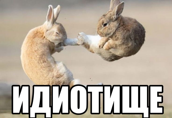 Liber Kolomb tweet media