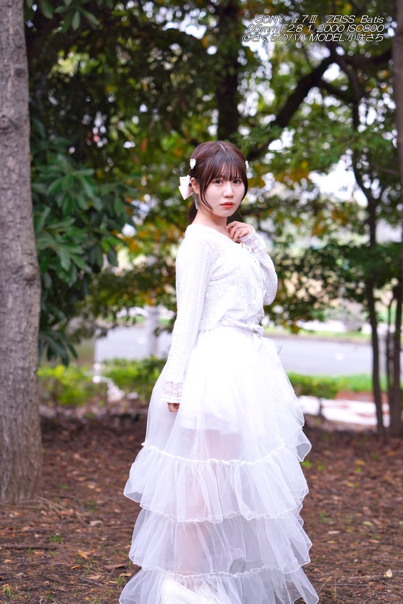 小咲さち さん⑬20260404(青海南ふとう公園他) (@Photo_momousa) さー