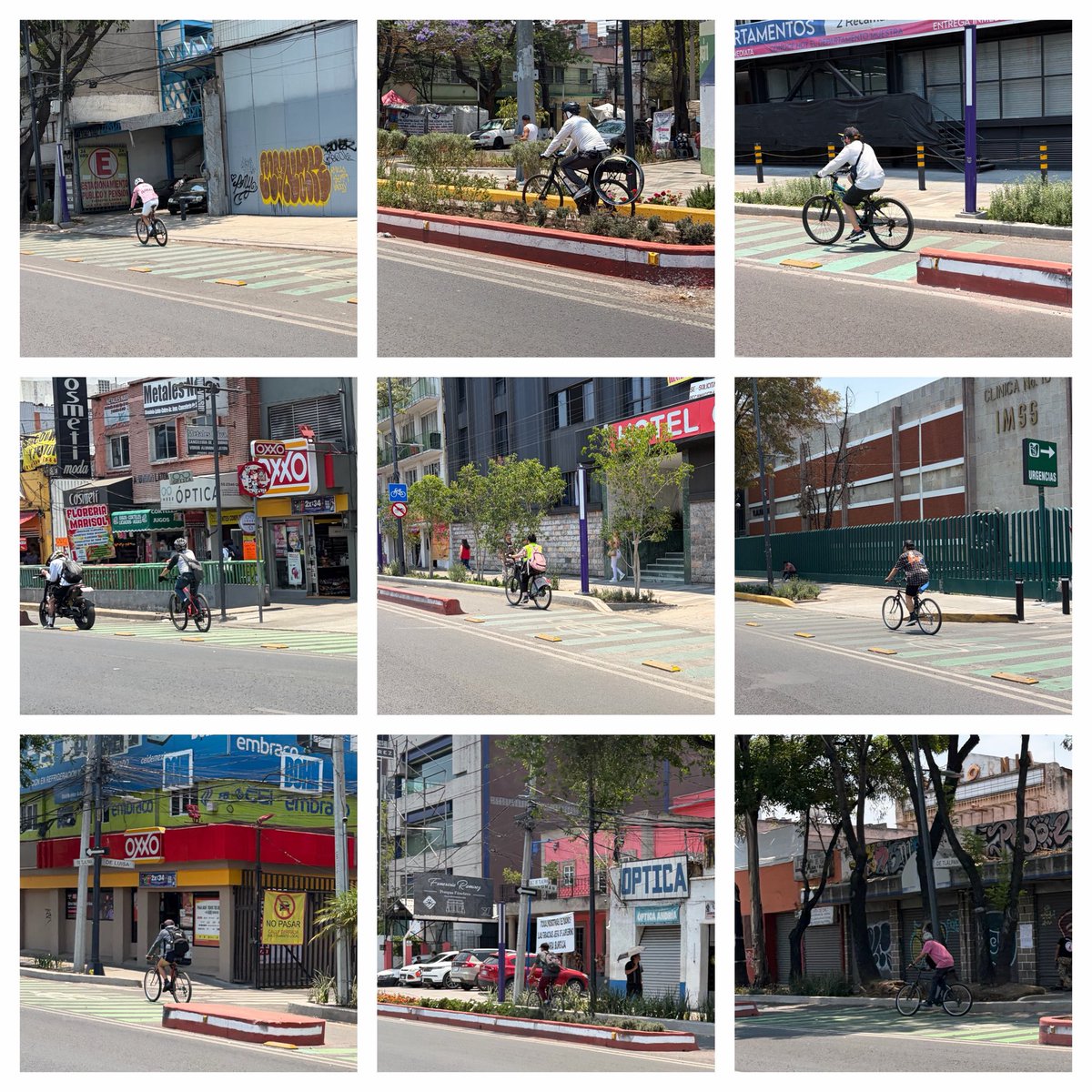 No son unicornios: sí hay Ciclistas en la ciclovía de Tlalpan. 

Vistos el mismo día en un ratito circulando de un sentido y después del otro. 

Armemos un 🧵colectivo de fotos.