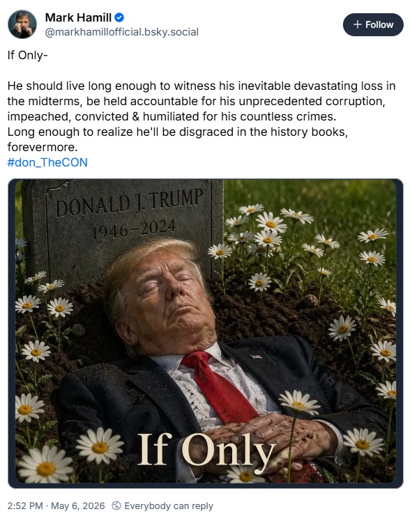 Libs of TikTok tweet media