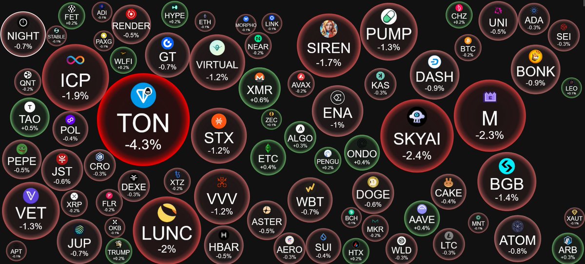 The Moon Show tweet media