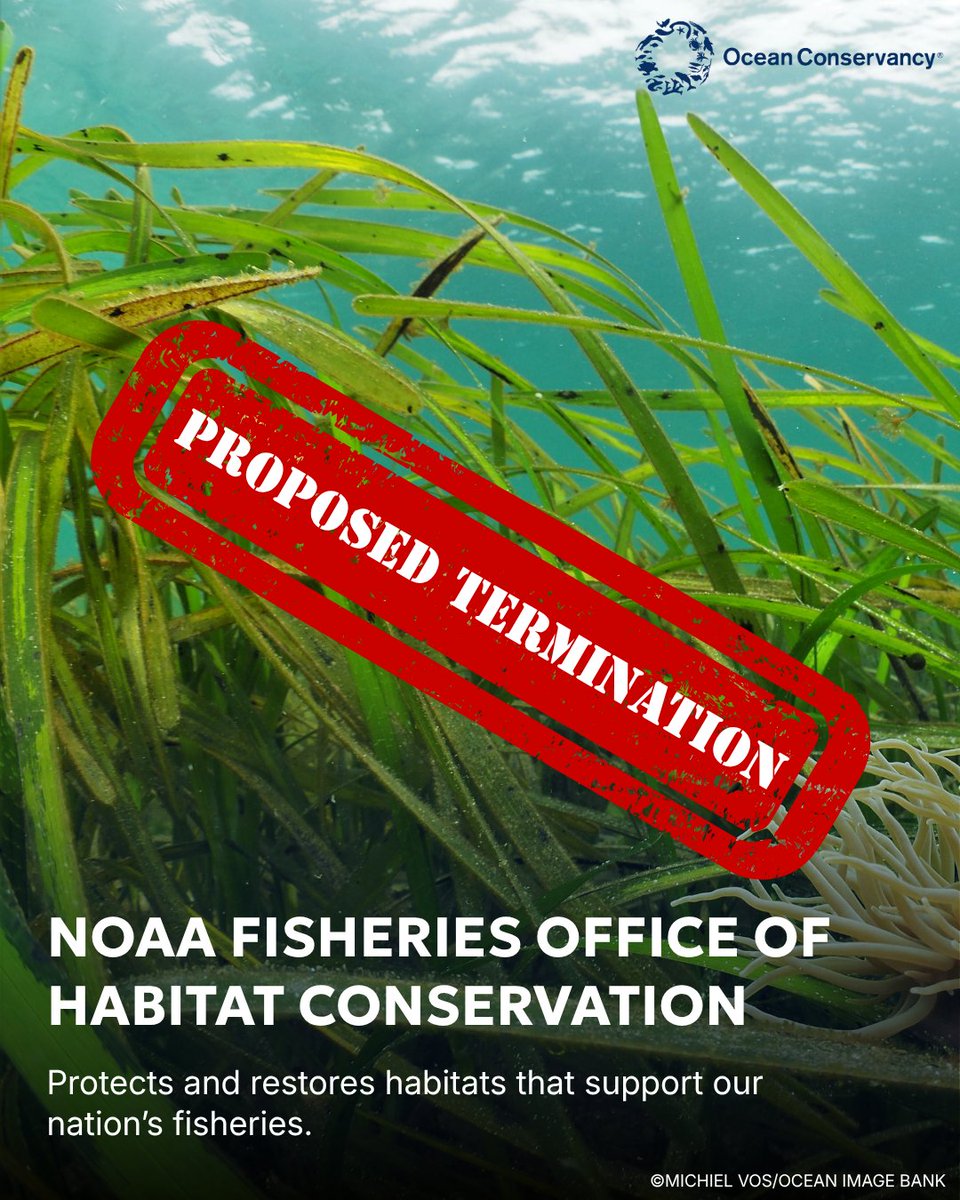Ocean Conservancy tweet media