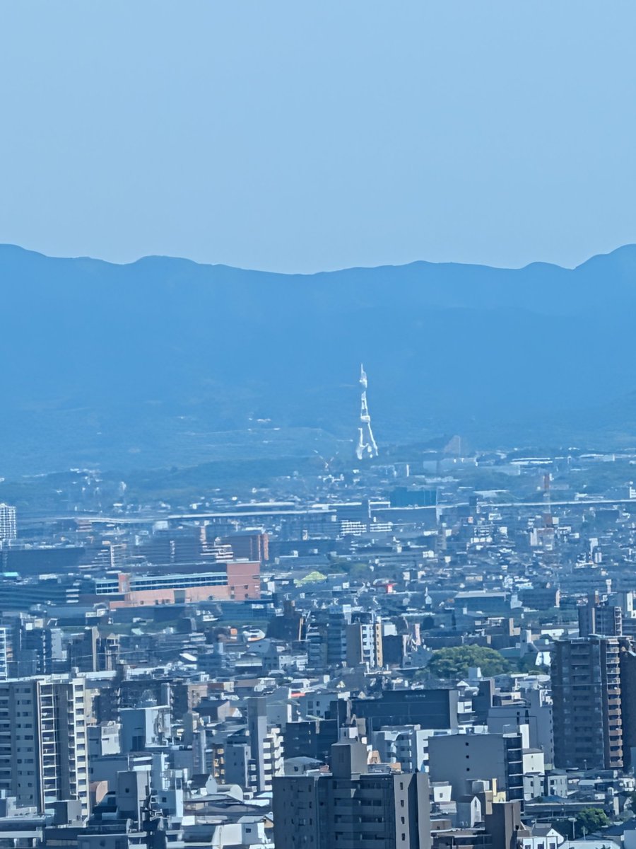 ヨッシー tweet media