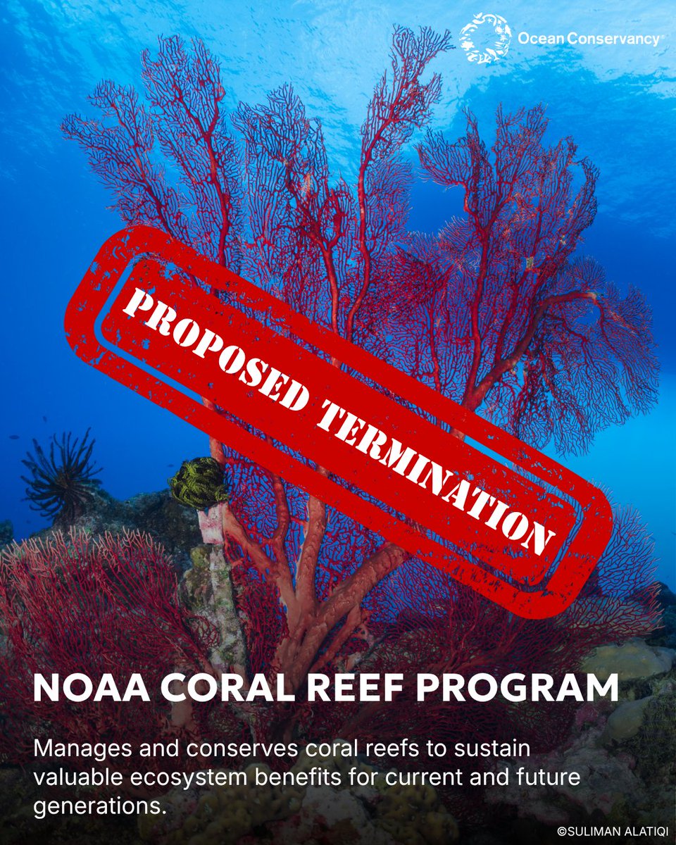 Ocean Conservancy tweet media